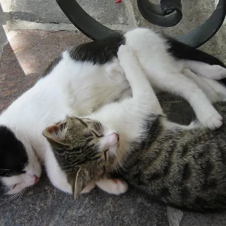 ファームステイ Steinbachgut *