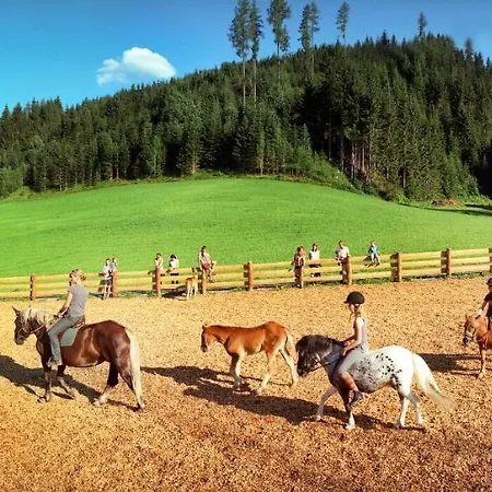 ファームステイ Steinbachgut フラッハウ