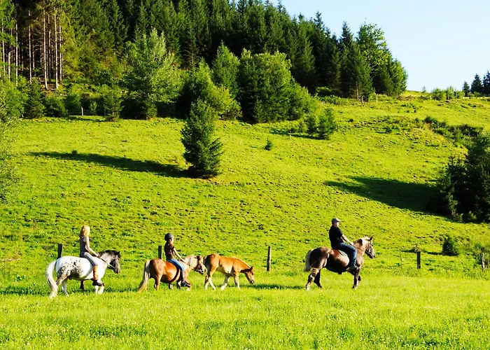 Steinbachgut Flachau