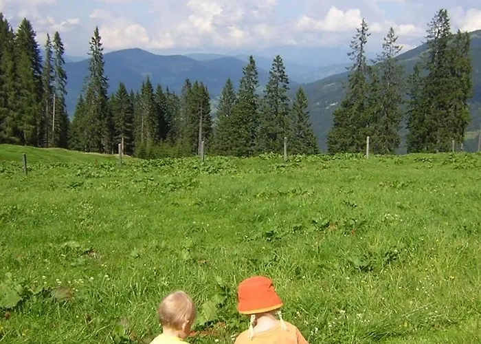 Steinbachgut Flachau