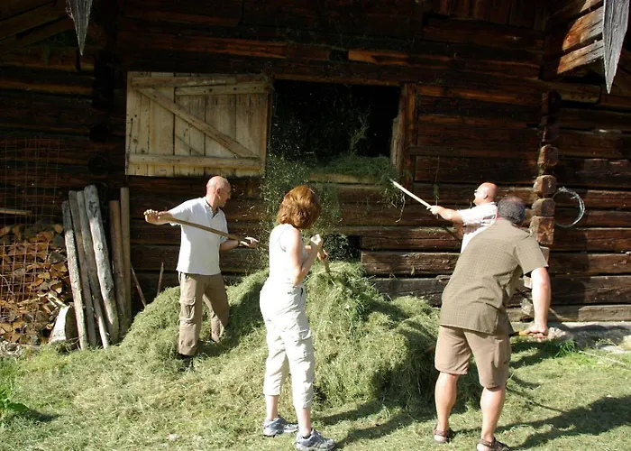 Steinbachgut Flachau