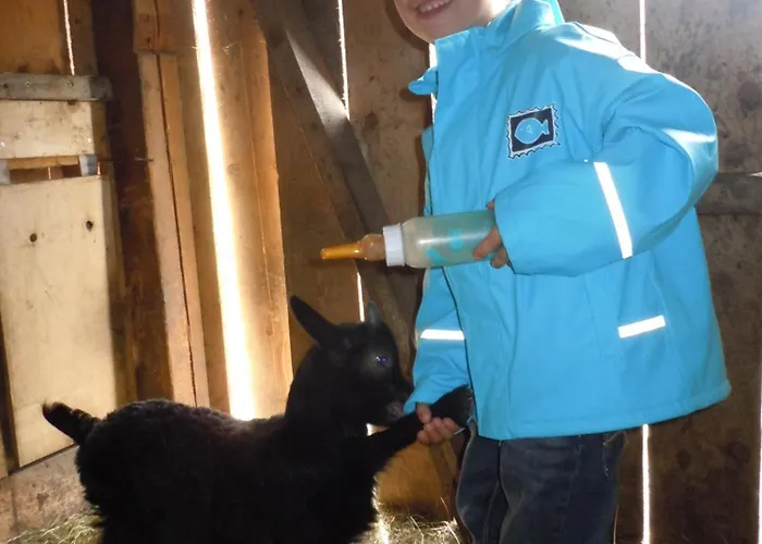 Gospodarstwo agroturystyczne Steinbachgut *